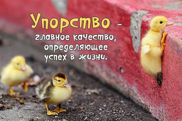   - 22  2015  12:37