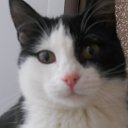 ���� �������, ������������, 52 ���� - ��������� 9 ������ 2015 � ������ ������ ��������