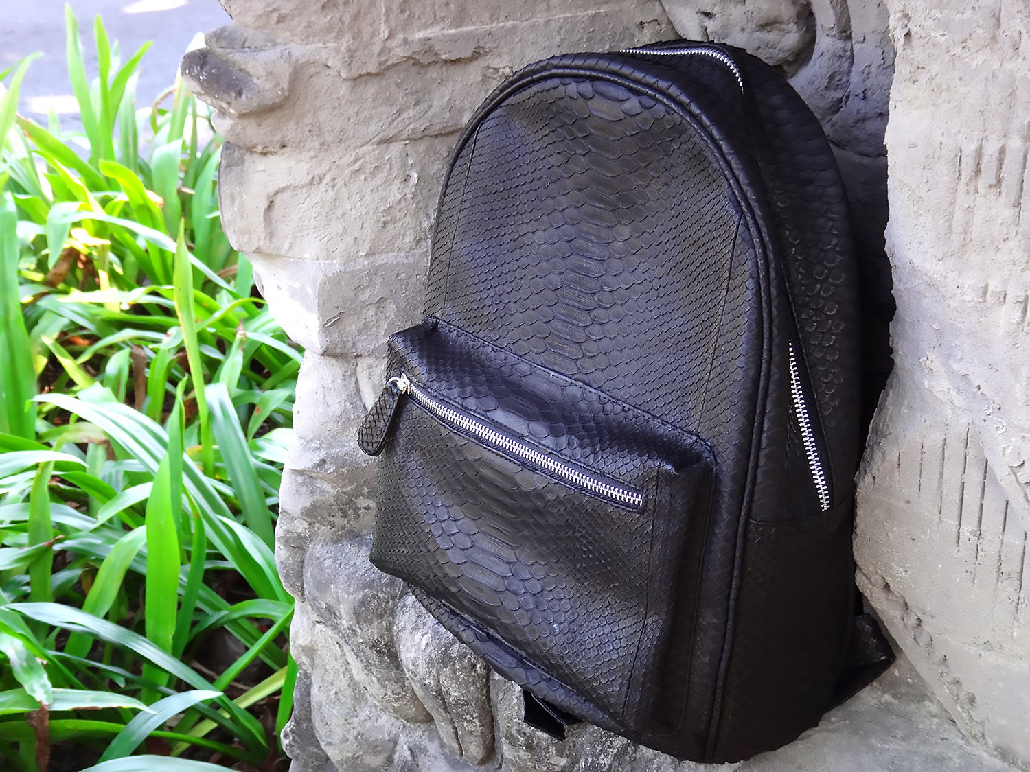 ���� ��������- �����������!)) ����������� ���� �����.