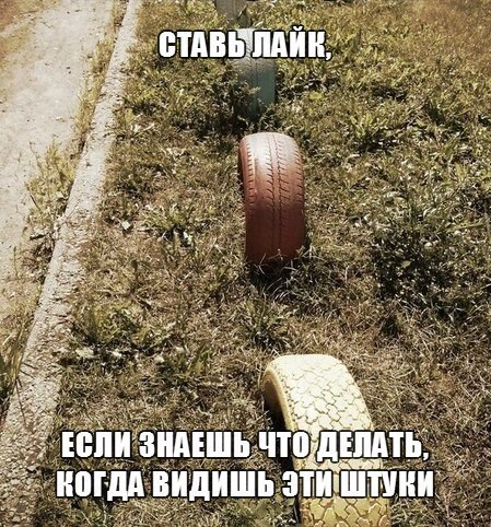 ☆☆☆  XX  ☆☆☆ - 1  2016  08:33