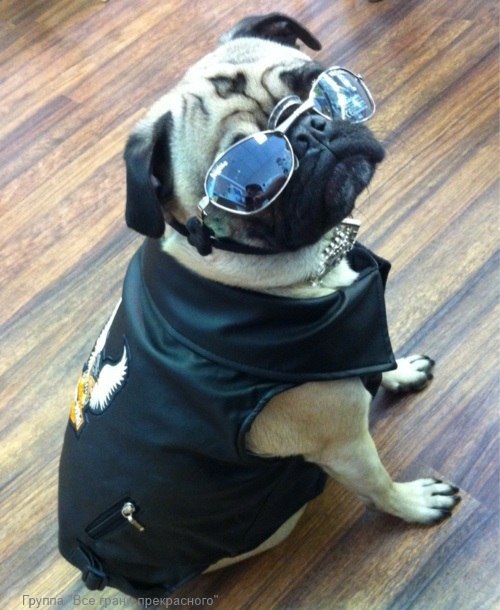   - 18  2016  20:45 - 3