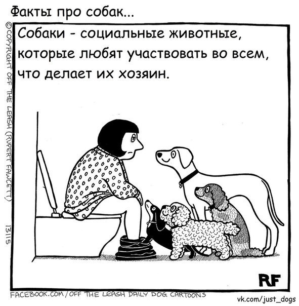 =D