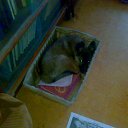 ���� Vit, ������ - ��������� 8 ������� 2015 � ������ ���� ����������