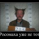 ���� ����, ��������, 40 ��� - ��������� 12 ������� 2015 � ������ ������ ��������