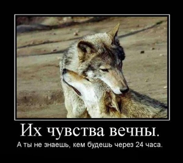 ��������� ��������!!!!! - 6 ������� 2015 � 20:12
