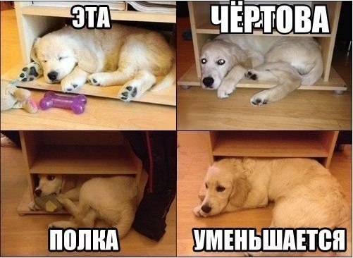   - 26  2015  20:48