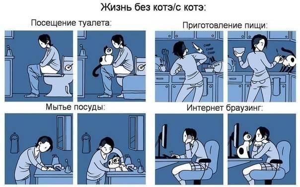  -  - 17  2016  18:26