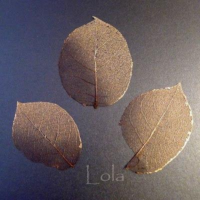 Мастер-класс по скелетированию листочков от Lola.Вам понадобится:- Сода (та, что используется для ... - 2