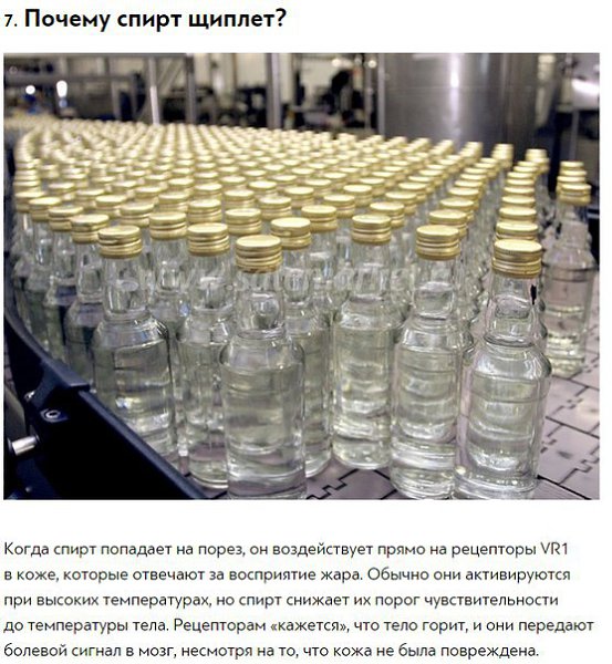 10 ответов на странные вопросы, которыми хоть раз задавался каждый.Вот 10 ответов на «почему», ... - 9