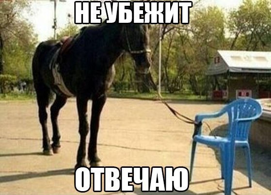  .. - 4  2016  10:56
