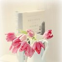 ���� ��������� ���������, ��������� - ��������� 5 ����� 2016 � ������ ���� ����������