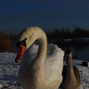 ���� �����, ����, 69 ��� - ��������� 11 ������ 2016 � ������ ������ ��������