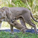 ���� Daniel, ������, 39 ��� - ��������� 31 ������ 2016 � ������ ���� ����������