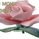  ,  -  19  2016   