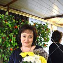 ���� �����, �������� - ��������� 3 ������ 2015 � ������ ���� ����������