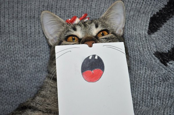       - 23  2016  13:33 - 6