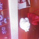 ���� ���������, ���������, 49 ��� - ��������� 6 ������� 2015 � ������ ���� ����������