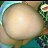 ���� ������, ����, 29 ��� - ��������� 24 ������� 2015