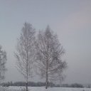  85.*,* , , 46  -  6  2016    