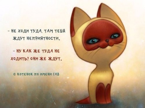 � ������� �� ����� - 23 ������ 2016 � 10:34