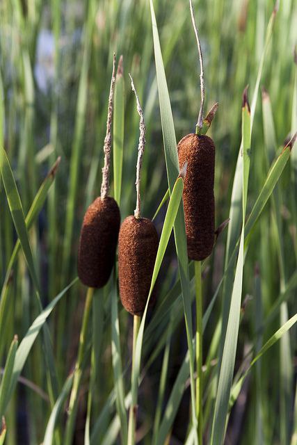   - 25  2015  09:59 - 4