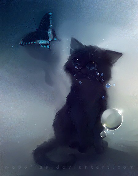 Magic the cookie - 31  2015  16:19 - 3