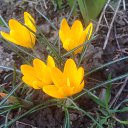 ���� ��������, ���������, 60 ��� - ��������� 2 ����� 2016 � ������ ������ ��������