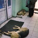 ���� ��������, ����� - ��������� 21 ������ 2015 � ������ ������ ��������