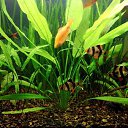 ���� Olezhka***, ����, 65 ��� - ��������� 25 ������� 2015 � ������ ���� ����������