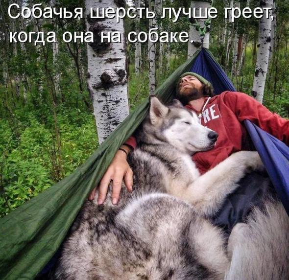 ***Victoria Viktorovna*** - 26  2016  07:21