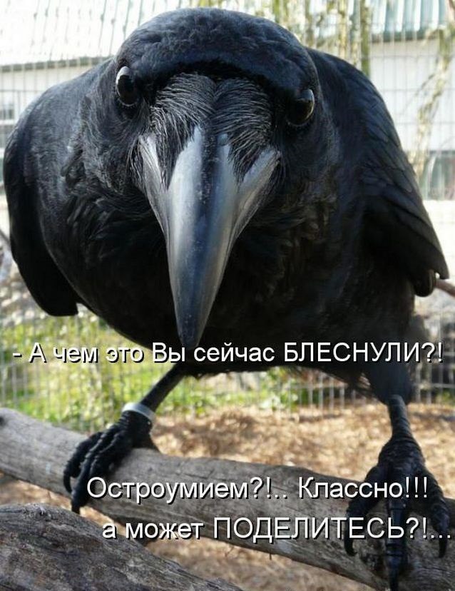 +.     !      !      ! ...