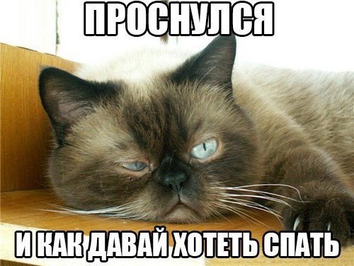       - 12  2015  16:02