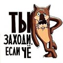    !     