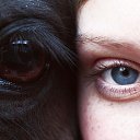 ���� ������, ������-��-����, 47 ��� - ��������� 11 ������ 2016 � ������ ������ ��������