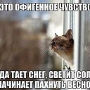 ���� ����/������, ������ �����, 72 ���� - ��������� 6 ����� 2016 � ������ ���� ����������