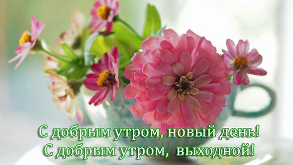  - 27  2015  06:12