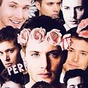 ���� �����, �����-������, 23 ���� - ��������� 27 ������� 2015 � ������ ���� ����������