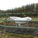 ���� Alexander, ���������, 67 ��� - ��������� 28 �������� 2015 � ������ ���������