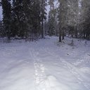 ���� �����, ������������ - ��������� 1 ����� 2016 � ������ ���� ���� ������