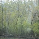 ���� �������, �������, 59 ��� - ��������� 9 ����� 2016 � ������ �� �� ����� ������
