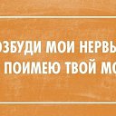 ���� ����, ��������, 40 ��� - ��������� 19 ������� 2016 � ������ ������ ��������