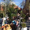 ���� ������, ������, 68 ��� - ��������� 3 ������� 2015 � ������ ���� ����������