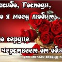 ���� �������, ������-��-����, 61 ��� - ��������� 30 ������ 2015 � ������ ������ ��������