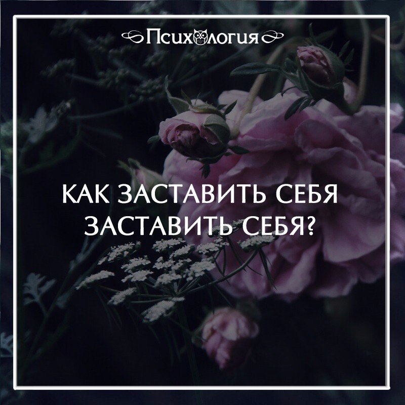  - 15  2016  00:23