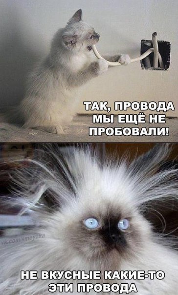       - 5  2015  15:30