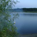 ���� �������, �����, 44 ���� - ��������� 1 ����� 2016 � ������ ���� ����������