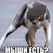 �����, 45 ���, ����