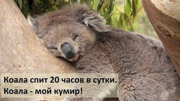     - 4  2015  23:40