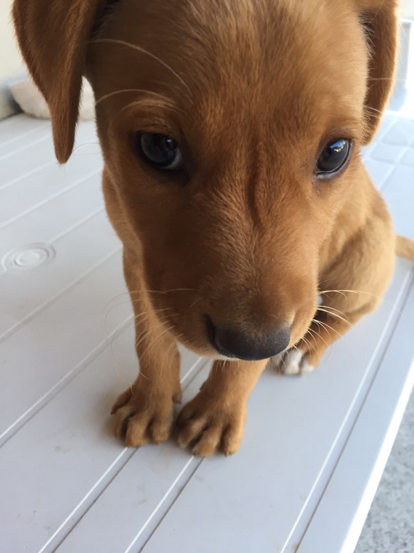    - 13  2015  20:59 - 2