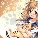 ���� ������, ������-��-���, 37 ��� - ��������� 29 �������� 2015 � ������ ������ ��������